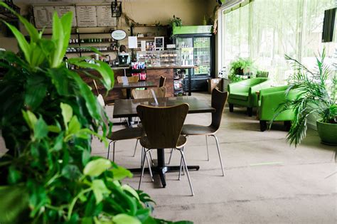 Immerse Yourself in the Natural Beauty of The Green Witch Cafe